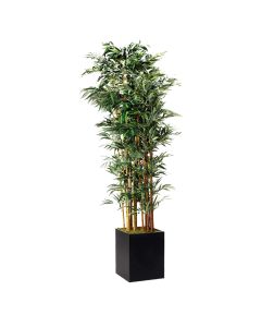 Bamboo Tree 8'