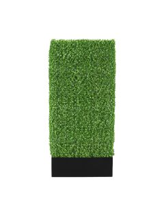Boxwood Hedge 7'