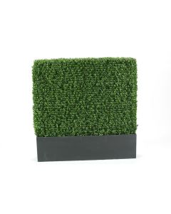 Greenery Boxwood Hedge 4'