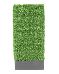 Greenery Boxwood Hedge 7'