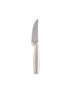 Deluxe Stainless Steak Knife