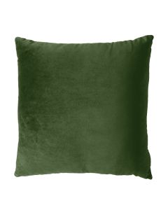Fern Velvet Pillow