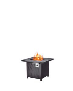 Fire Pit with Propane