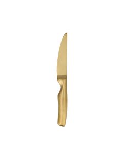 Gold Steak Knife