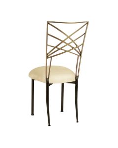 Two Tone Chameleon with Champagne Dupioni Cushion