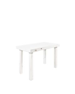 White Sonoma Table 4' x 2' x 30